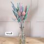 Colourful Pastel Dried Flower Arrangement, thumbnail 4 of 5