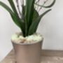 Peach Artificial Silk Orchid Flower Arrangement, thumbnail 3 of 6