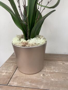 Peach Artificial Silk Orchid Flower Arrangement, 3 of 6