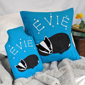 Badger Personalised Cushion And Hot Water Bottle Set, 3 of 4