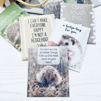 Hedgehog Gift Tea Set, 11 of 12