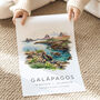 Galapagos Islands Ecuador Illustrated Travel Art Print, thumbnail 3 of 7
