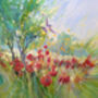 Summer Harbingers, thumbnail 6 of 8