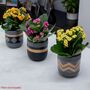 Three Set Of Small Ceramic Indoor Plant Pots, thumbnail 1 of 7