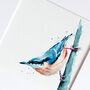 Inky Nuthatch Illustration Print, thumbnail 3 of 12