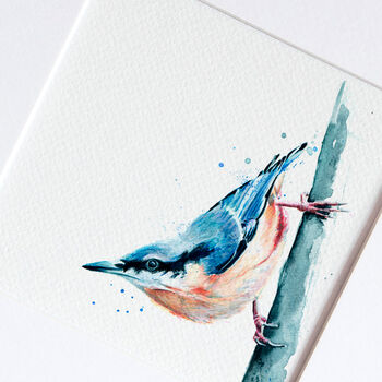 Inky Nuthatch Illustration Print, 3 of 12