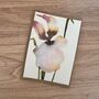 Hand Painted Iris Watercolour Note Card Set Of Three, thumbnail 4 of 5