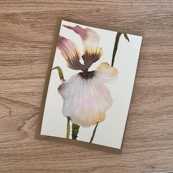 Hand Painted Iris Watercolour Note Card Set Of Three, 4 of 5