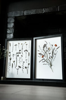 Whisper Stem Original Pressed Flower Art In A3 Black Frame, 6 of 7