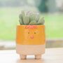 Cow Chick Planter With Choice Of Plant, thumbnail 6 of 6