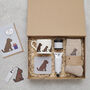 Cockapoo / Labradoodle Dog Walking Socks – The Perfect Gift For Dog Lovers, thumbnail 8 of 12