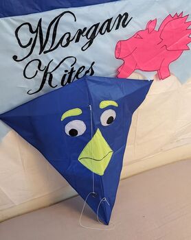 Wacky Bird Kite, 4 of 7