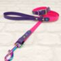 Waterproof Dog Collar And Lead Set Pink/Acid Purple, thumbnail 1 of 3