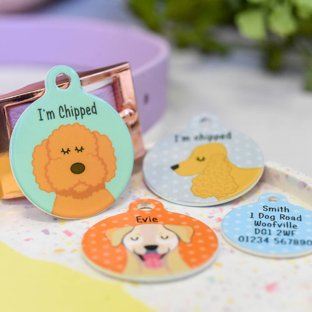Personalised Dog Name Tag, 1 of 12