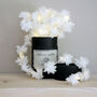 Cornflower Fairy Lights, thumbnail 7 of 8