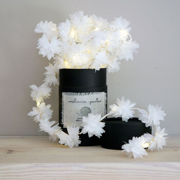 Cornflower Fairy Lights, 7 of 8
