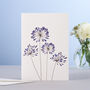 Summer Flowers Luxury Boxed Card Set, thumbnail 2 of 4
