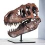 T Rex Dinosaur Skull Hand Painted 3D Model Statue Gifts For Him, thumbnail 2 of 10