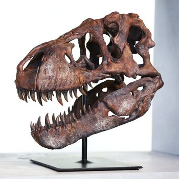 T Rex Dinosaur Skull Hand Painted 3D Model Statue Gifts For Him, 2 of 10
