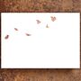 Butterflies And Cocoons Notecards, thumbnail 3 of 3