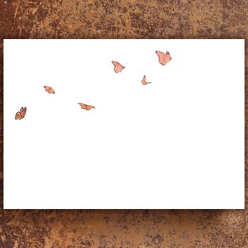 Butterflies And Cocoons Notecards, 3 of 3