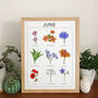 Birthday Month Print, Plant And Wildflower Wall Art, thumbnail 7 of 11