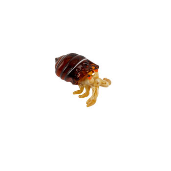 Artisan Glass Hermit Crab In Gift Box | Decoration | Ornament | Collectable | Gift For Home | Home Decor, 2 of 4