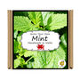 Herb Garden Mint Growing Kit. Gardening Gift, thumbnail 4 of 4
