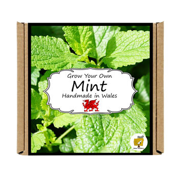 Herb Garden Mint Growing Kit. Gardening Gift, 4 of 4
