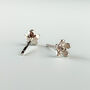Sterling Silver Blossom Flower Stud Earrings, thumbnail 5 of 5