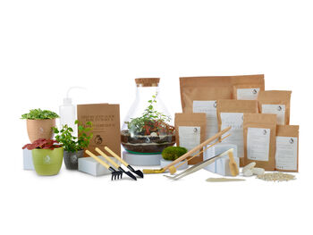 Diy Terrarium Kit: Glass, Plants And Moss | 'Lima', 3 of 8
