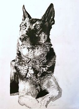 Original Charcoal Pet Portrait, 2 of 10
