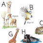 Animal Alphabet Print, thumbnail 3 of 6