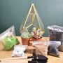 Gold Geometric Terrarium Kit With Succulent Or Cactus, thumbnail 10 of 12