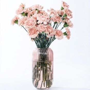 Cappuccino Carnations Fresh Flower Bouquet, 2 of 3