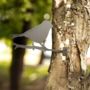 Garden Ornament Bird Silhouette Wall Mounted Deterrent, thumbnail 4 of 4