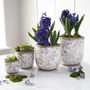 Blue And White Round Floral Pot, thumbnail 2 of 2