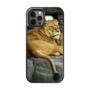 Lioness Relaxing iPhone Case, thumbnail 4 of 4