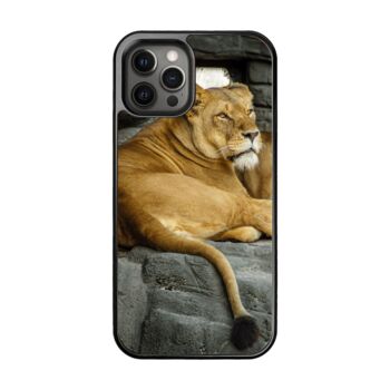 Lioness Relaxing iPhone Case, 4 of 4