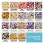 10 Biodegradable Petal Confetti Pops, thumbnail 2 of 10