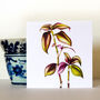 Mixed Botanicals Greetings Card Pack One, thumbnail 8 of 8