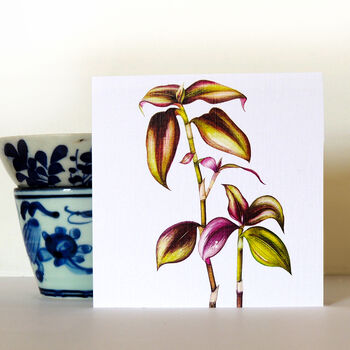 Mixed Botanicals Greetings Card Pack One, 8 of 8