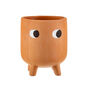 Mini Terracotta Plant Pot With Googly Eyes, thumbnail 2 of 3
