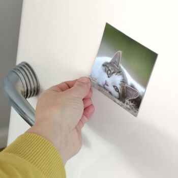 Cat Father's Day Photo Magnet Card, 4 of 5