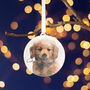 Pet Photo Memorial Christmas Decoration, thumbnail 6 of 9