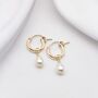 Mini Sia Pearl Hoop Bridal Earrings, thumbnail 3 of 3