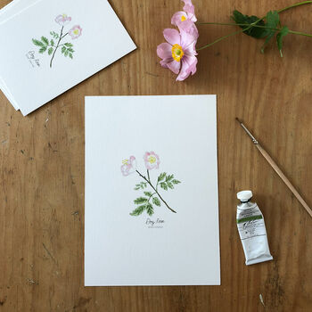 ‘Dog Rose’ Wildflower Botanical Giclée Art Print, 3 of 3