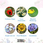 Wildflower Jar Stocking Fillers Set Of Six Flowers, thumbnail 7 of 11