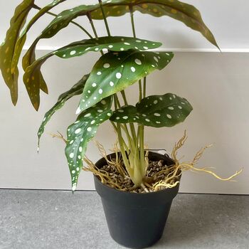 Artificial Dotted Begonia In Pot, 3 of 5