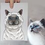 Personalised Cat Half Portrait Print, Cat Lover Gift, thumbnail 1 of 12